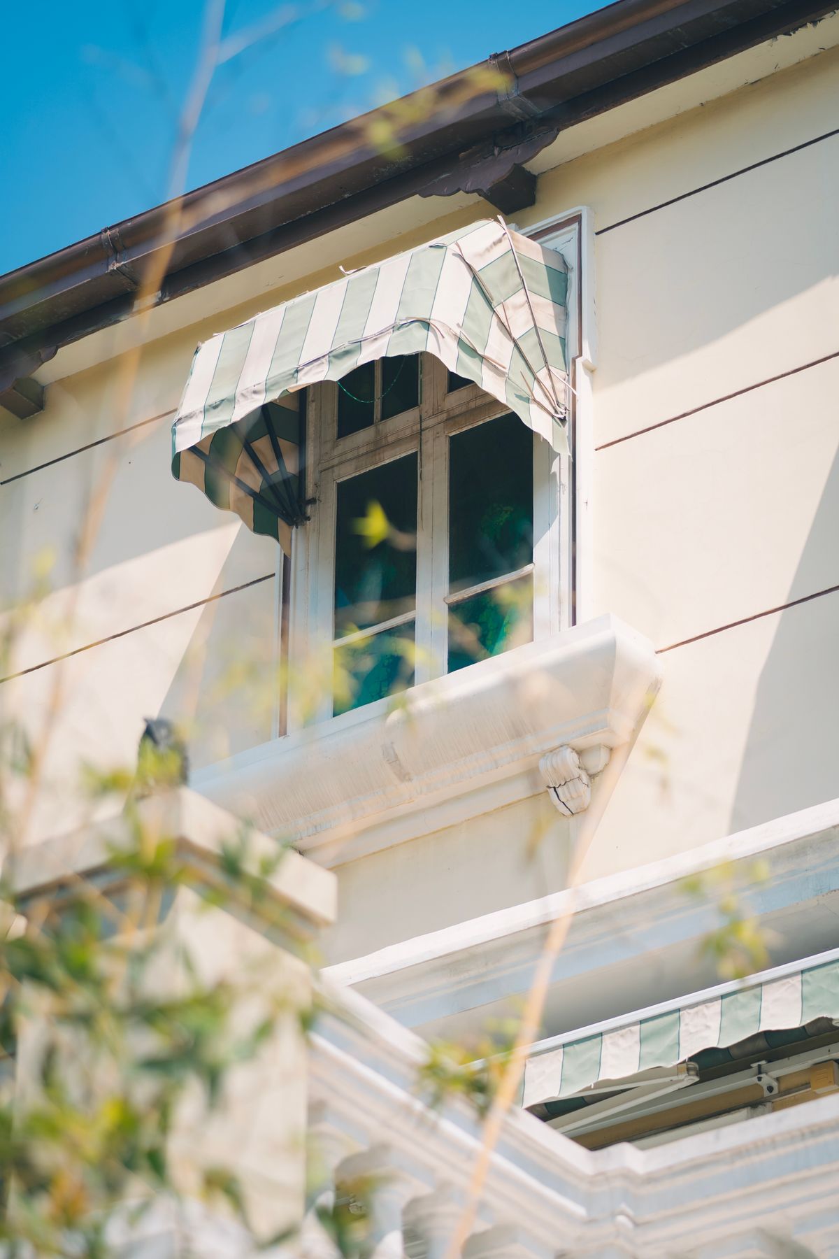 Modern ahşap görünümlü pergola sistemi - Pergule Tente